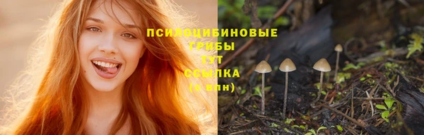тгк Балахна