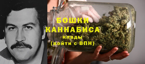 мет Гусев