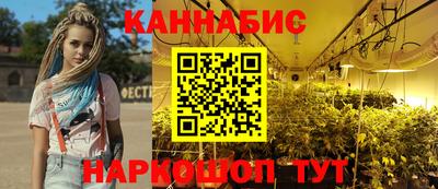 индика Новодвинск