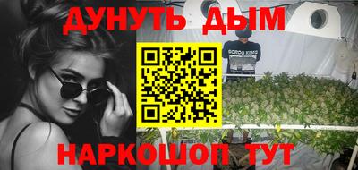 индика Новодвинск