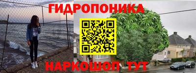 индика Новодвинск