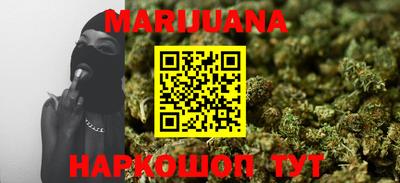 индика Новодвинск