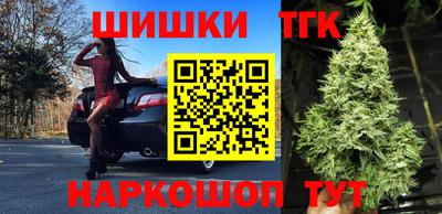 индика Новодвинск