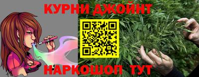 индика Новодвинск