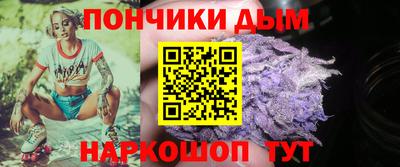 индика Новодвинск