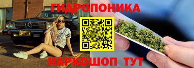 PSILOCYBIN Новокубанск