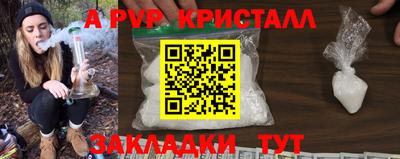 индика Новодвинск