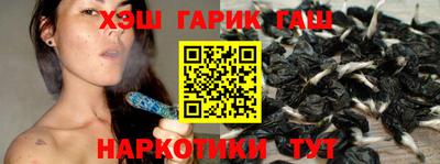 индика Новодвинск