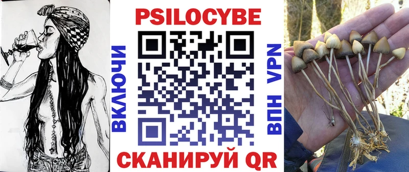 Галлюциногенные грибы Psilocybe дарк нет как зайти Ульяновск